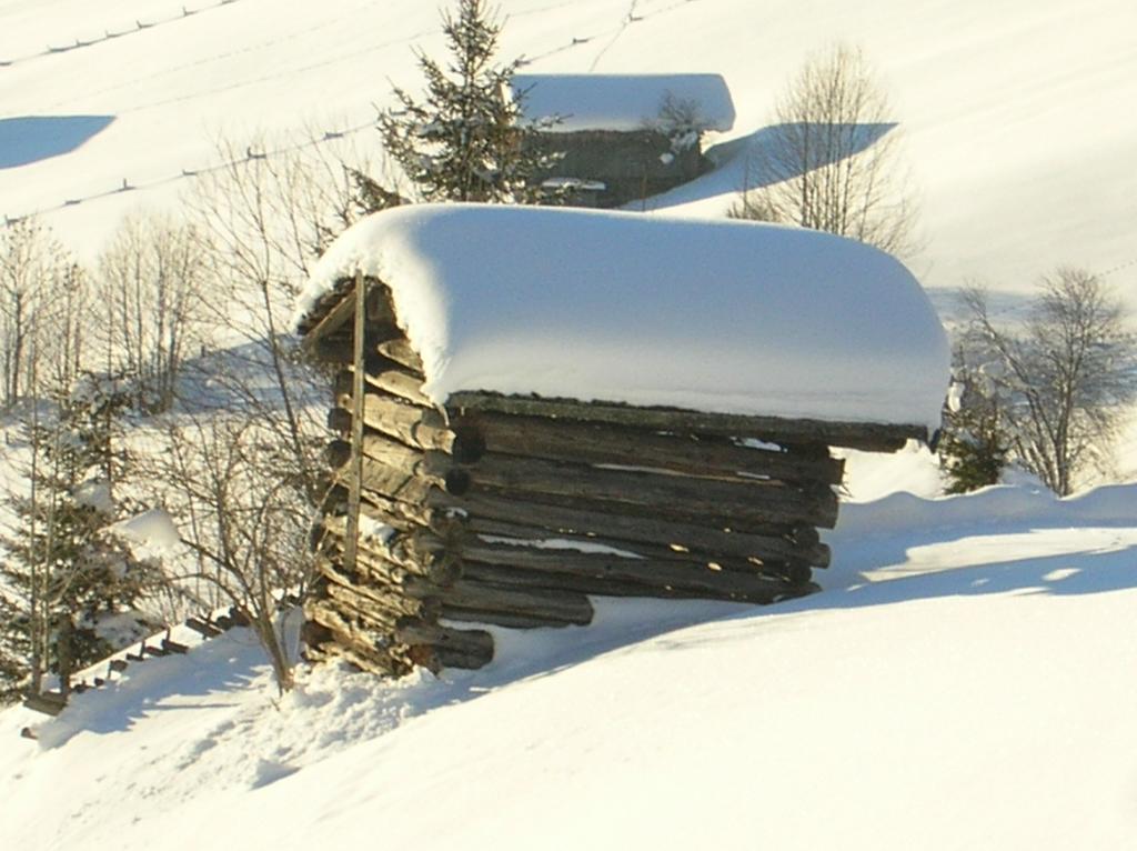 Haus Konrad Lägenhet Reith im Alpbachtal Exteriör bild
